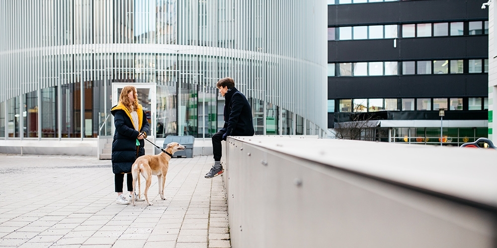 Turun Talo Team Oy vastaamaan Teknologiakiinteistöjen ulkoalueista